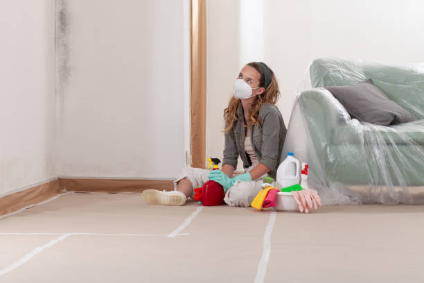 Trusted Commercial Mold Remediation service in Muskegon, MI - WQB Mold Removal
